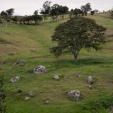 GÜETA 05