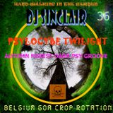 DJ SINCLAIR H36 groovy forest PSYLOCYBE TWILIGHT dark groovy psy