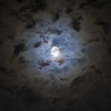Eerie Elaboration (Zenonesque/DarkProg)
