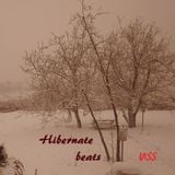 Hibernate beats