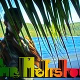 HeartBeat of an Irie Plannet by *mr. Mefistou*