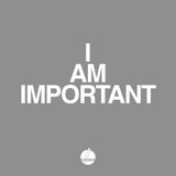 IMPORTANT podcast 001'15 guest mix by Tomin Tomovic