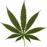 FLOZ - Marijuana Mini Mix