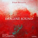 Imagine Sound - Stray Bullets (Podcast 006)