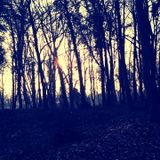 Red Sun Rising - Promomix February 2016