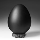 BLACK EGG - (Easter Synth) SET