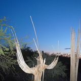 DJ MuZack - Desert Nites (Version 2) 06