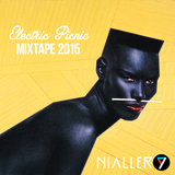 Electric Picnic Mixtape 2015