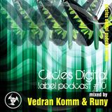 Runy & Vedran Komm - Circles Digital Label Podcast 2013