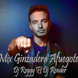 Mix Ginzadera Afuegote - DJ Render ft. DJ Reggy