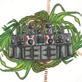 Grooves from the urb'n'Jungle - FM Brussel mix