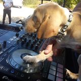 Mattrix Dj -De La York 2015