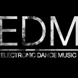 The Best of EDM Now by DJ Big Blender!