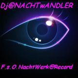 Dj-Nachtwandler-Schwärmer dEr Nacht-2012 FsO Nachtwerk Record