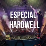 ESPECIAL HARDWELL - TTM Team