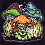 Shrooms