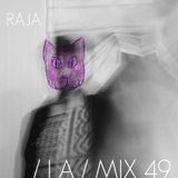 IA MIX 49 RAJA