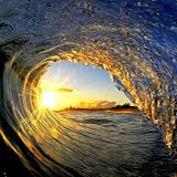 Siyoung Presents: BODYWAVE (A Mix for Your Endless Summer)