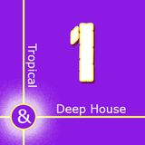 Tropical & Deep House 1 ○● Gianluca Conforti ●○