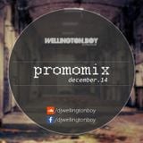 Wellington Boy - PROMOMIX (December 2014)