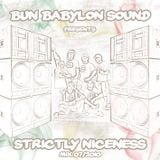 Bun Babylon Sound - Strictly Niceness Vol.1 (AUG 2010)