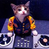 Chatonx2 - first mix