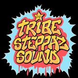 DJ Cridge (Tribe Steppaz) - Fantazia Bristol April 2014
