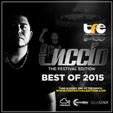Luccio Presents: The Festival Edition Best of 2015