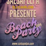 MIX Beatch Party 2014