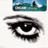 Chicane - Saltwater (Original Mix)
