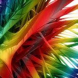 Rainbow!!