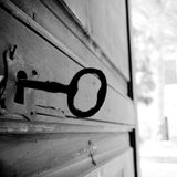 Neolithicvox - Love is the key