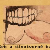 Shitparáda 6 - Impropereta Nákupák