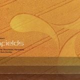 Sasha Creamfields 1998