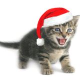 BEST XXXMAS MIX of 2K13 BY MR. EMPTYHEAD RAGE CAPS I LIKE CAPS CAUSE KITTENS
