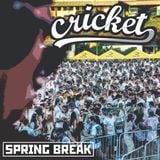 Cricket - Spring Break:Extreme 15' Set