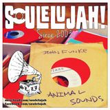Animal Sounds