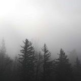 Standing in The Shadows of Lev with Mog 10-09-11 pt 2 (all record show)