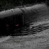 NovemberDrain