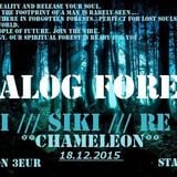 Domi - Analog Forest 18.12.2015