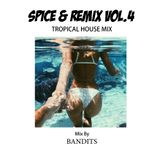 Spice & Remix Vol.4 -Tropical House Mix-2015
