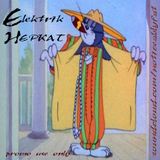 Elektrik Hepkat
