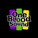 Chek Di Selekta - 04 janvier 2013 - Selekta Black Mc - One Blood Sound
