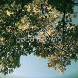 Lazy Morning Love In a Treehouse