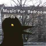 Music for Bedroom Birds part 3