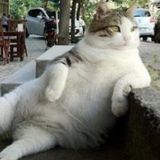 Smoke Sessions Vol 3 Loungin Trip Hop & Hip Hop