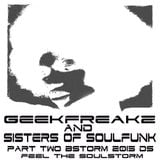 GEEKFREAKZ-FEEL THE SOULSTORM PART2-BSTORM DS 2015