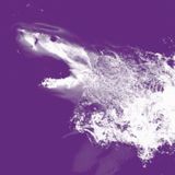 SharkaTTack