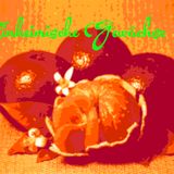 Niki Matita ::: Einheimische Gewächse ::: 1501 ::: RADIO