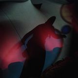 In the Belly of a Turtle - @ Wilde Moehre Festival 2014